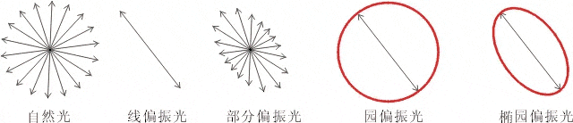 什么是偏振光？偏振光是如何完成檢測(cè)的？
