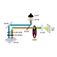 什么是熒光定量PCR、數(shù)字PCR？