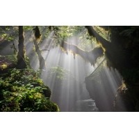 光的干涉、衍射、折射、反射、散射